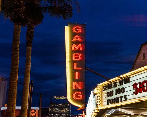 Social Casino Tournaments Guide